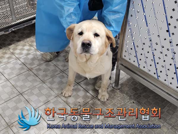한국동물구조관리협회_441414202400061