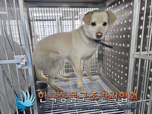 한국동물구조관리협회_441560202400095