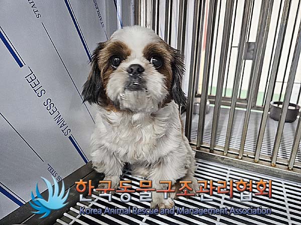 한국동물구조관리협회_411304202400009