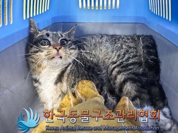 종료(자연사) 한국…