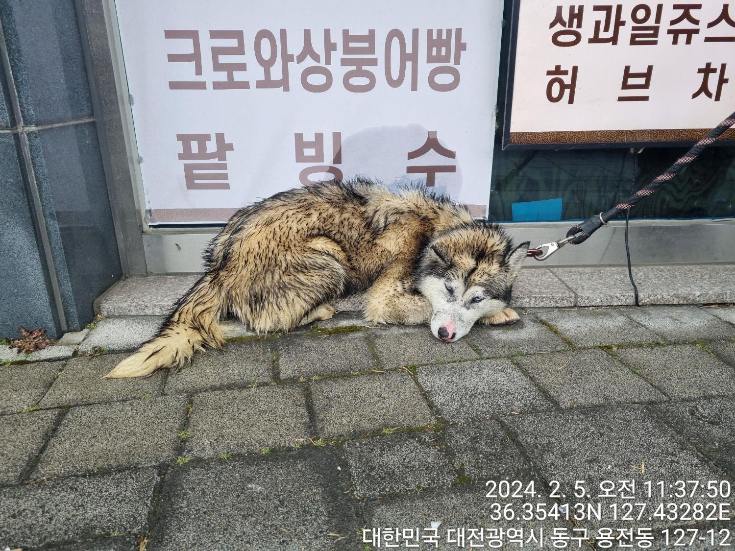 종료(반환) 시베리…