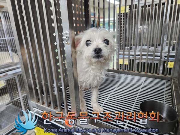 한국동물구조관리협회_411311202400012