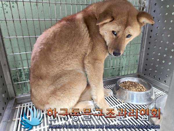 종료(자연사) 믹스…