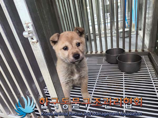 한국동물구조관리협회_441559202400074