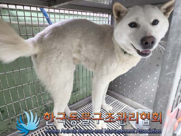 한국동물구조관리협회_441382202400020