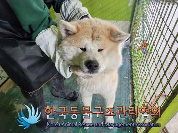한국동물구조관리협회_441406202400160