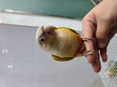 (사)동부동물보호협회_426338202400036