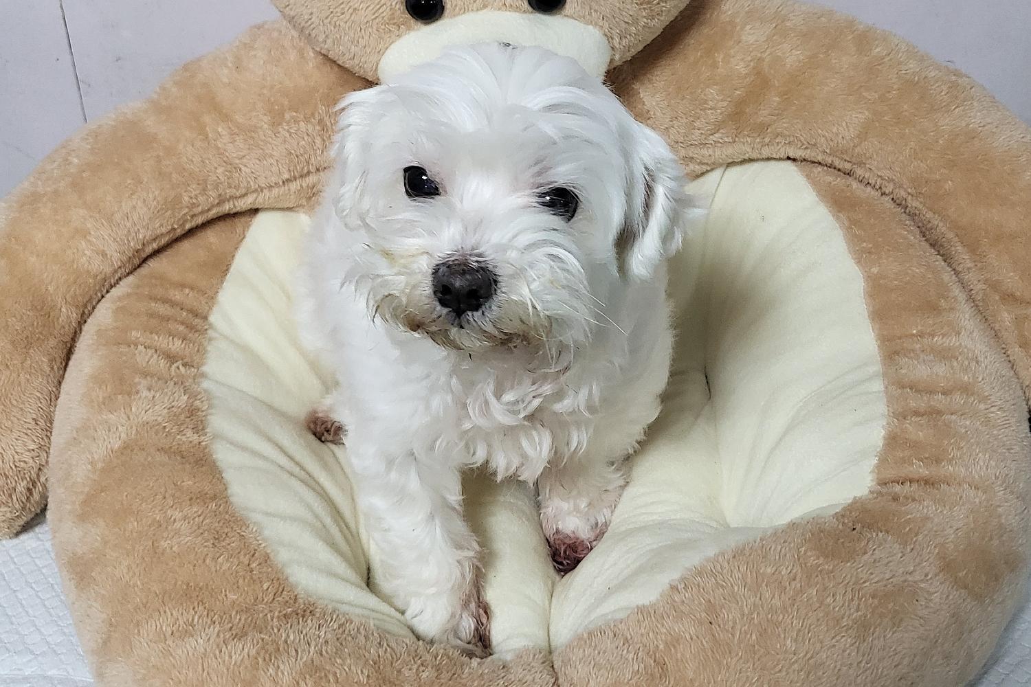 밀양시 동물보호센터_448536202400144