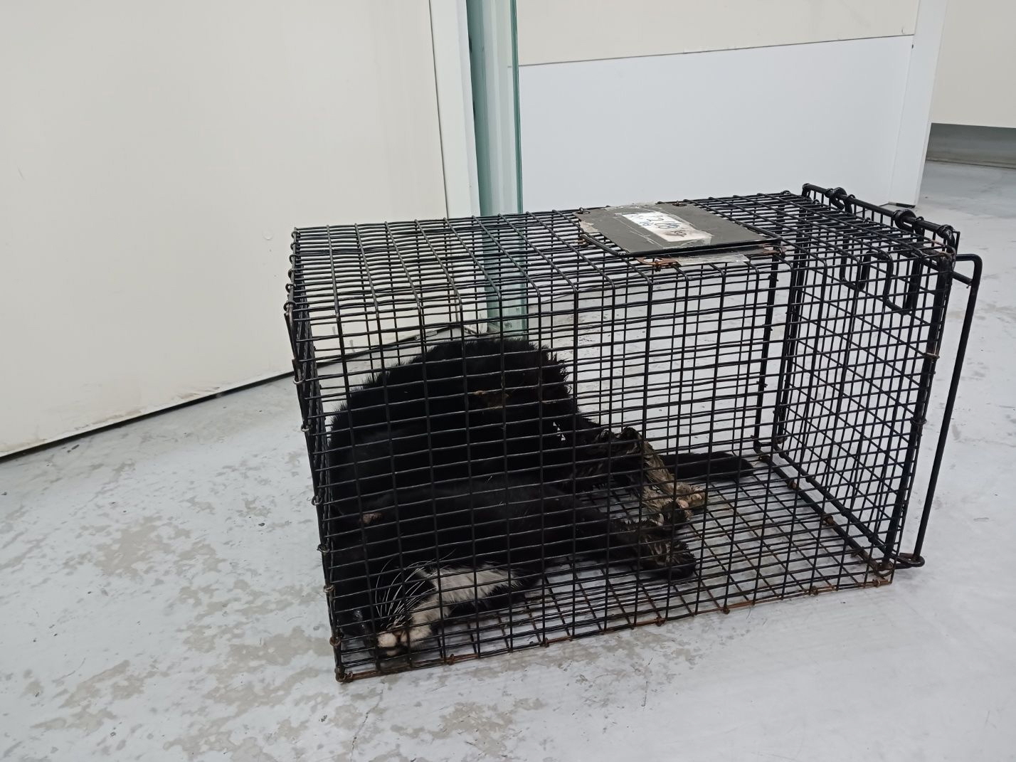 남산동물병원_411302202400017