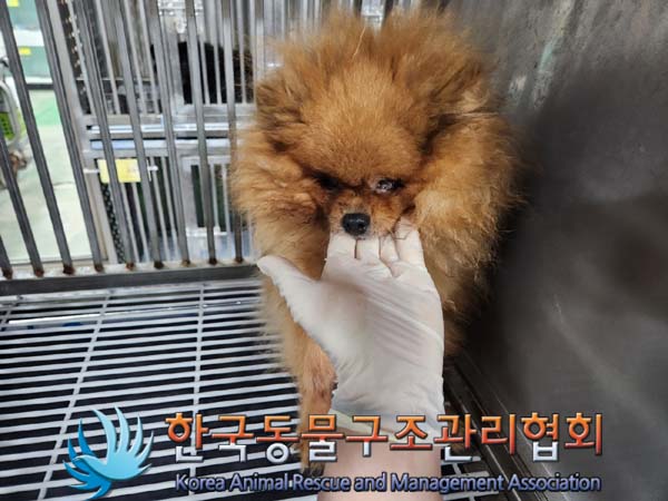 한국동물구조관리협회_411323202400014