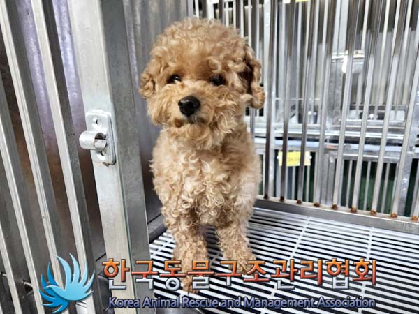 한국동물구조관리협회_411311202400015