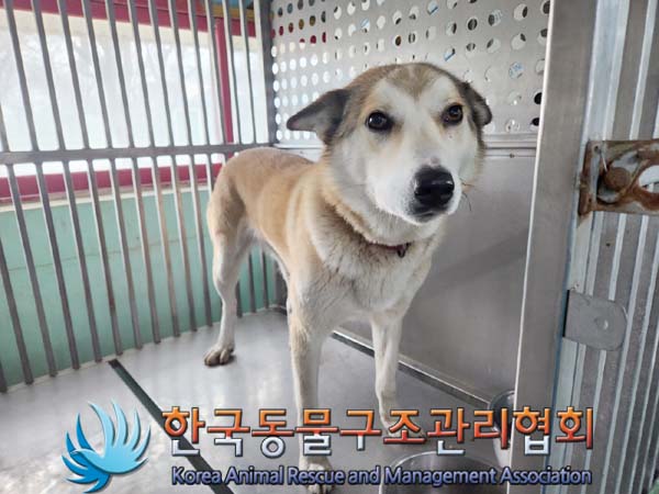 한국동물구조관리협회_441414202400063