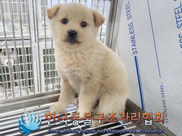 한국동물구조관리협회_441560202400111