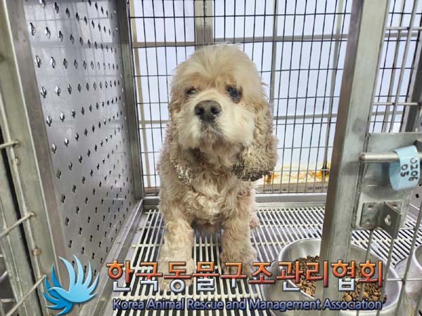 한국동물구조관리협회_441392202400031