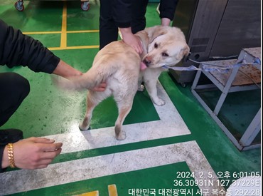 종료(반환) 라브라…