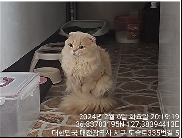 대전동물보호센터_430366202400036