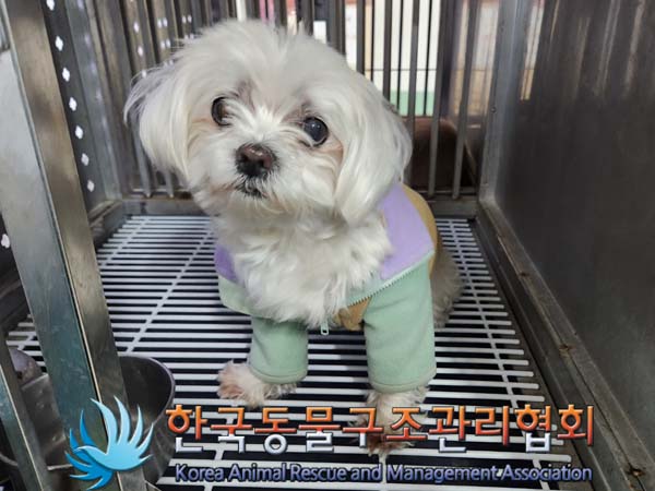 한국동물구조관리협회_441382202400028