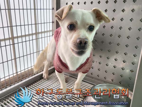 한국동물구조관리협회_441392202400032