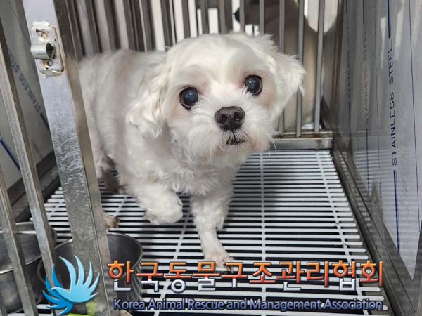 한국동물구조관리협회_441382202400027