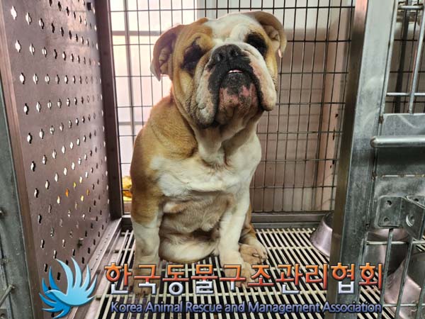 한국동물구조관리협회_441409202400173
