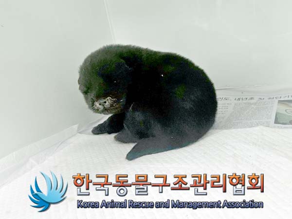 한국동물구조관리협회_441559202400083