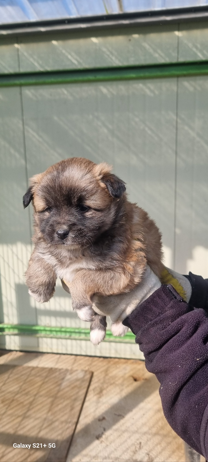 전북말산업복합센터_445471202400087