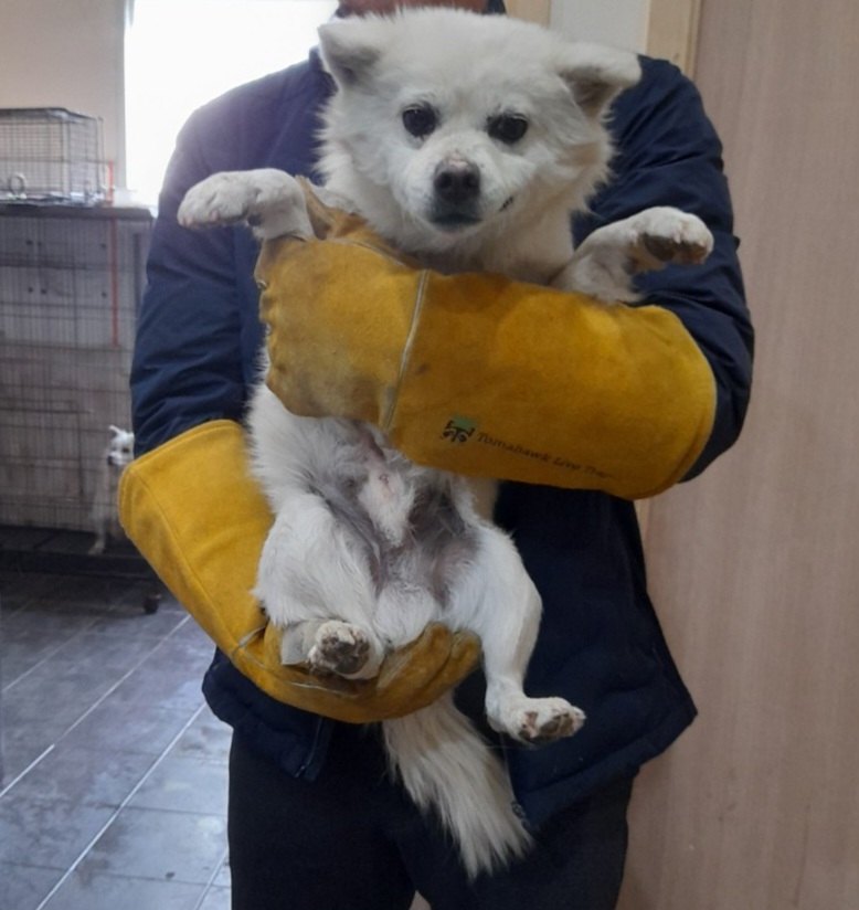 금왕동물병원_443447202400088