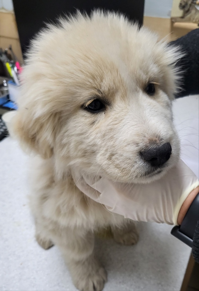 최종주동물병원_443444202400024