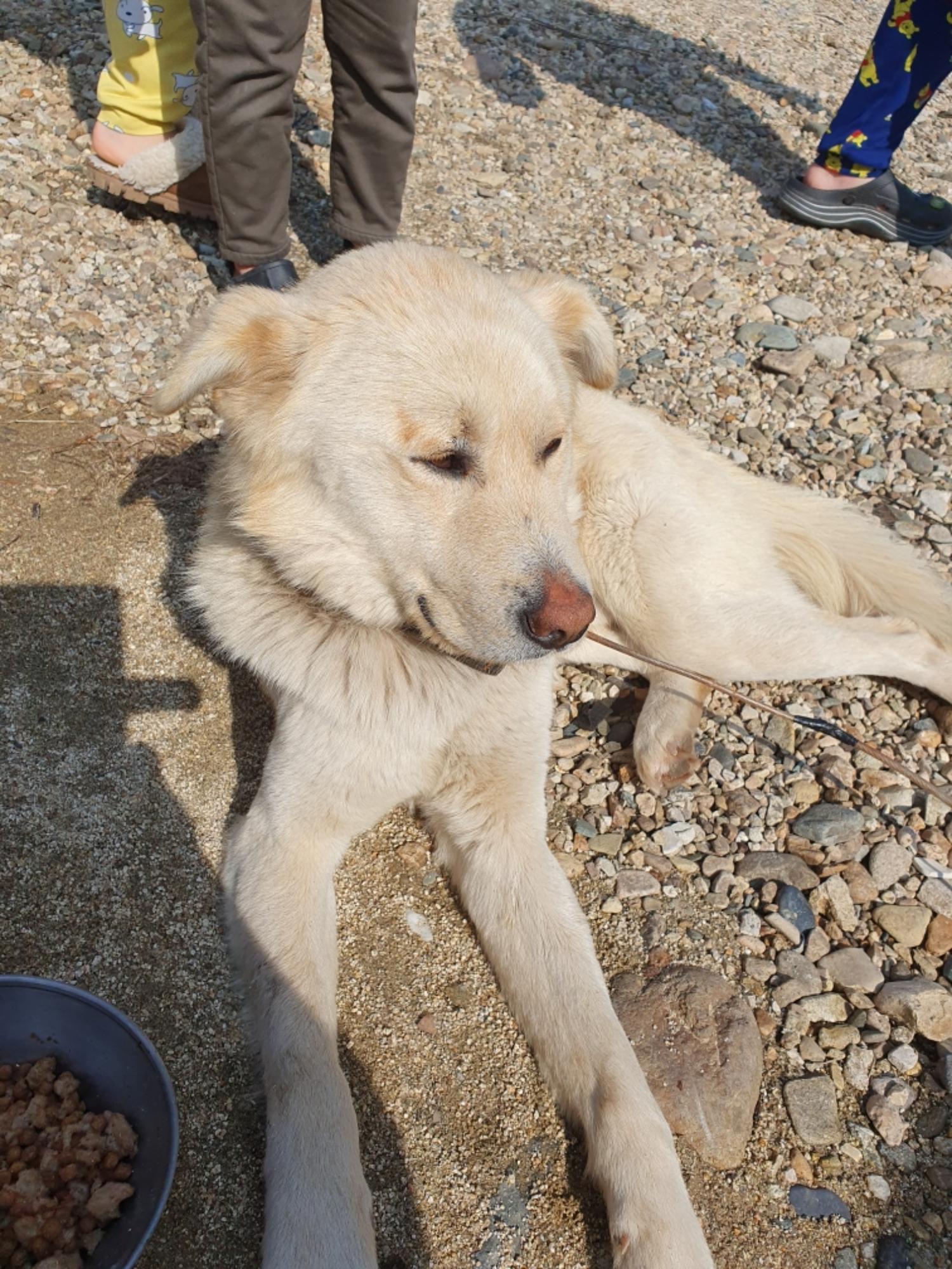 최종주동물병원_443444202400023
