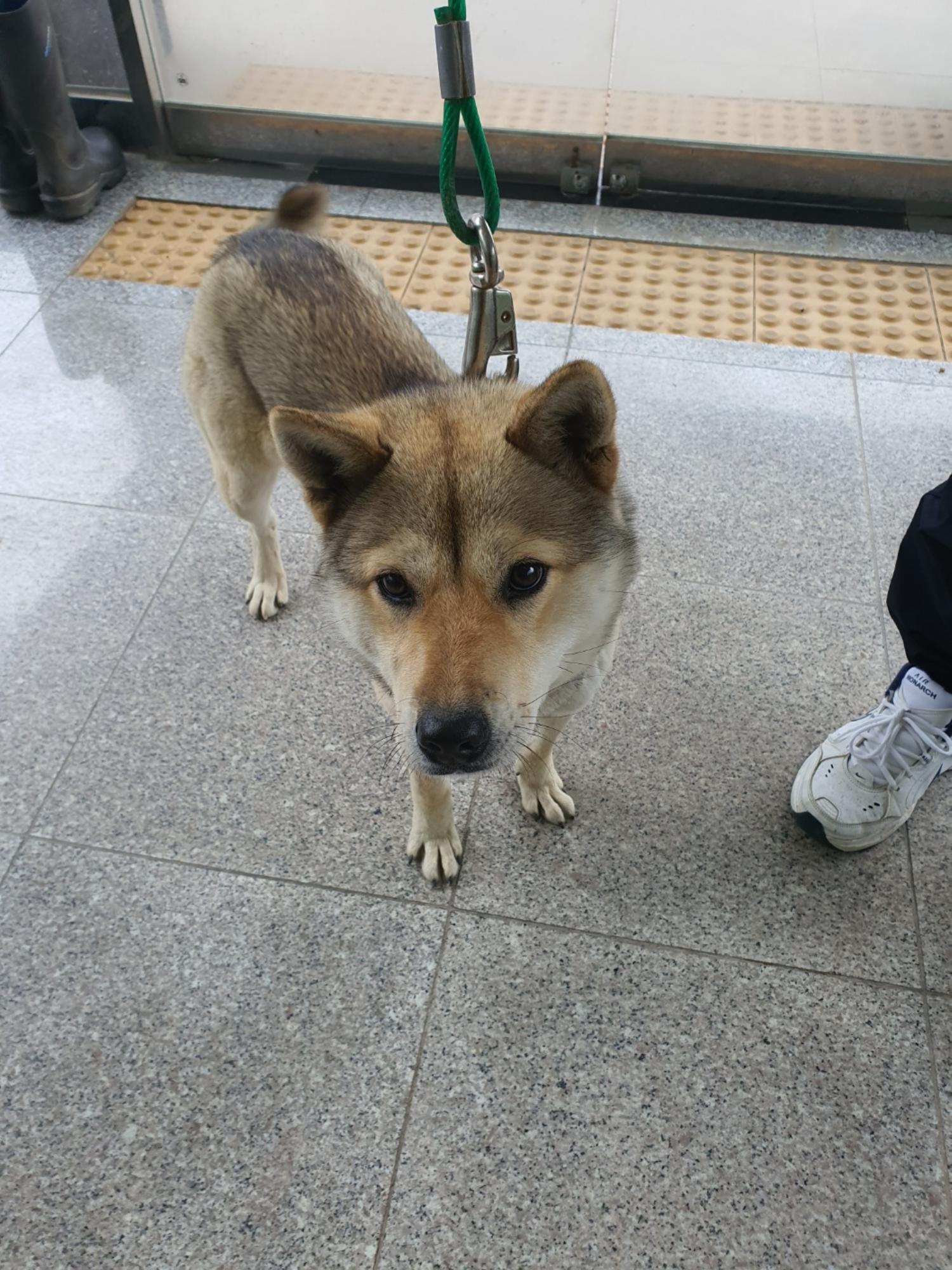 구미시 동물보호센터_447508202400048