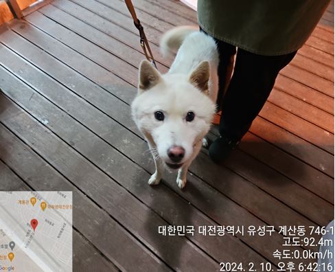 대전동물보호센터_430367202400049