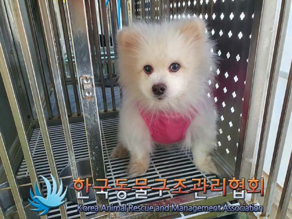 한국동물구조관리협회_441382202400032