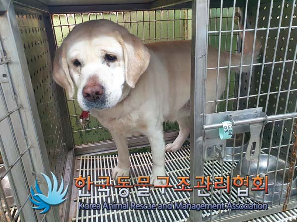 종료(반환) 라브라…