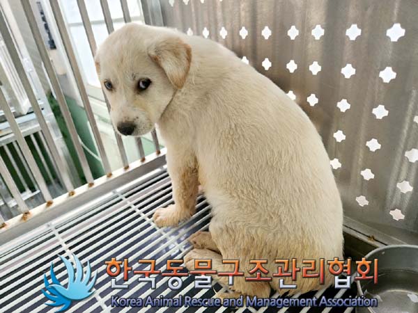 한국동물구조관리협회_411310202400010