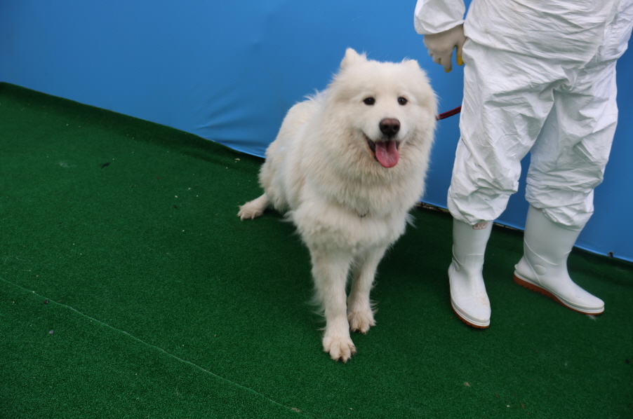 제주 동물보호센터_450650202400434