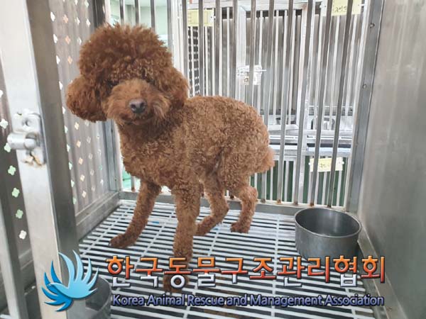 한국동물구조관리협회_411310202400011
