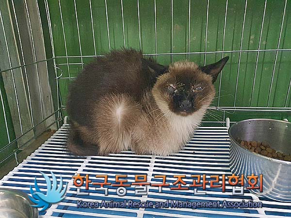 한국동물구조관리협회_441409202400176