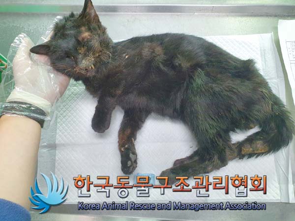 종료(자연사) 한국…