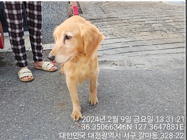 종료(반환) 라브라…