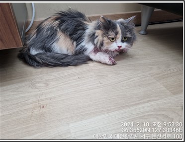 종료(반환) 먼치킨…