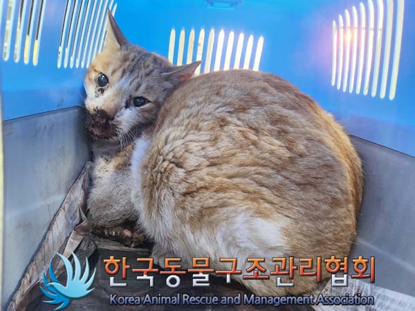 종료(자연사) 한국…