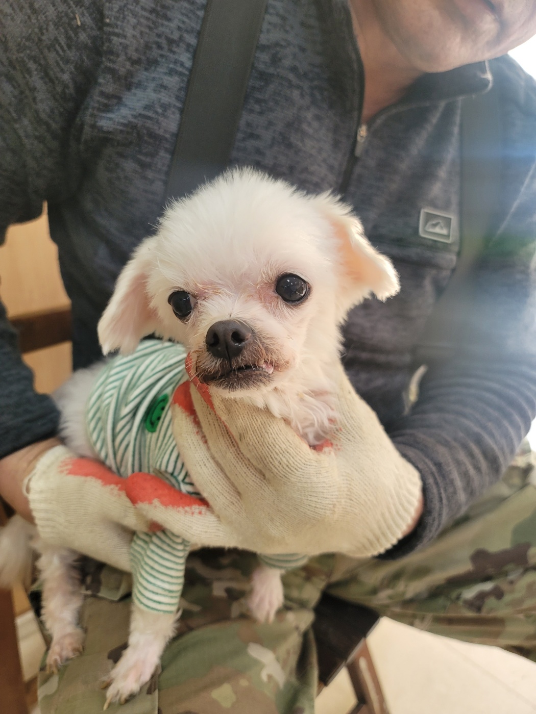 종료(자연사) 믹스…