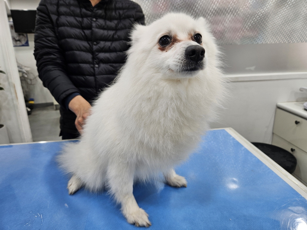 남산동물병원_411302202400019