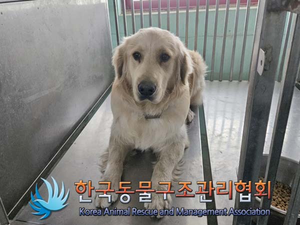 한국동물구조관리협회_411305202400008