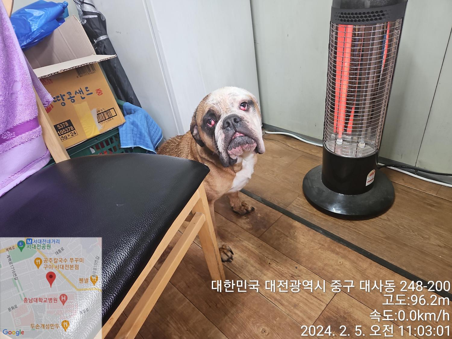 대전동물보호센터_430365202400023