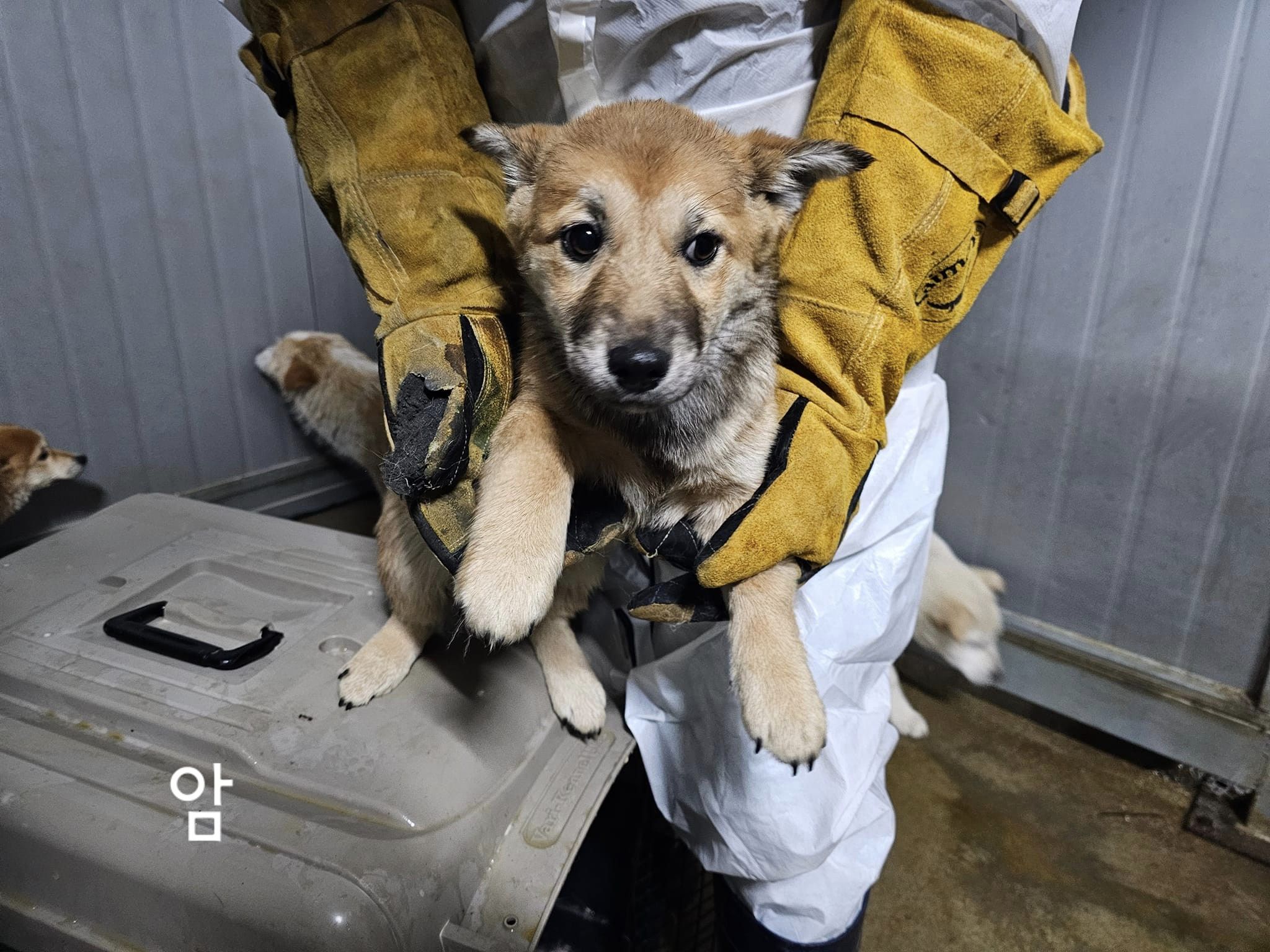 화천군농업기술센터_442431202400048