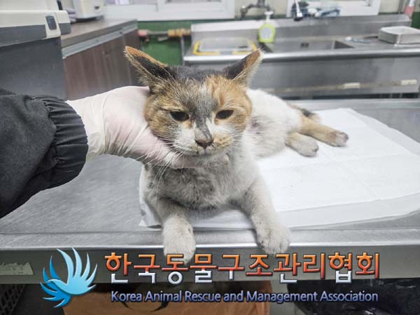 종료(자연사) 한국…