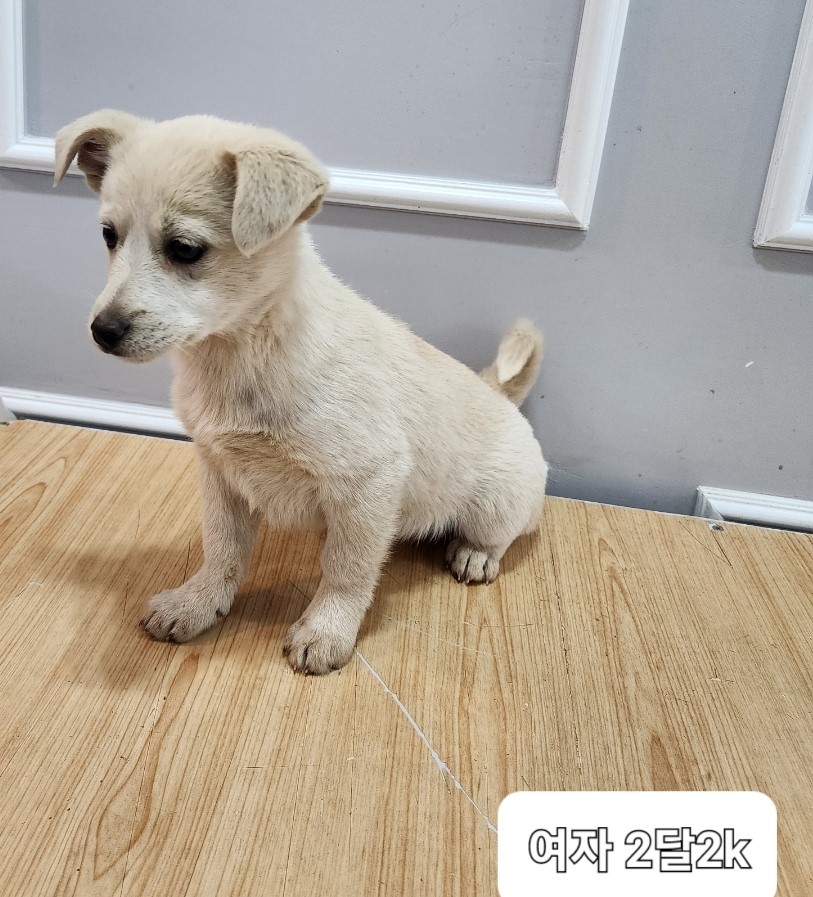 옥천동물병원_443443202400080