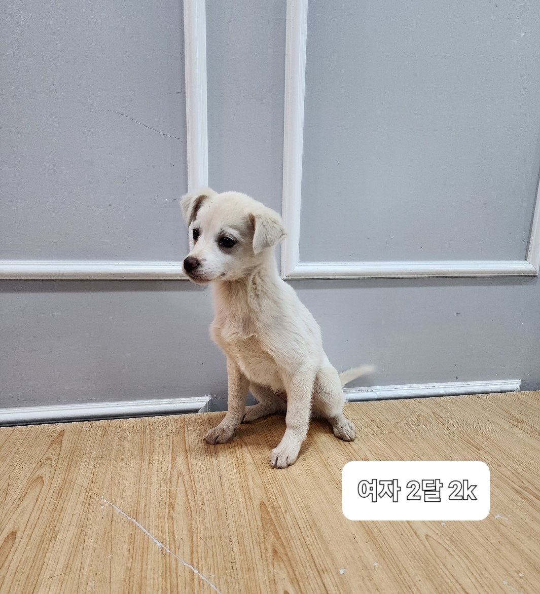 옥천동물병원_443443202400076
