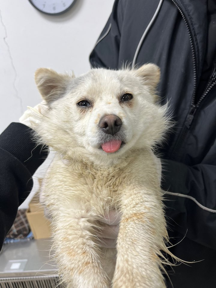 반려동물보호센터_443571202400138